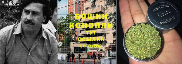 эйфоретик Вязьма