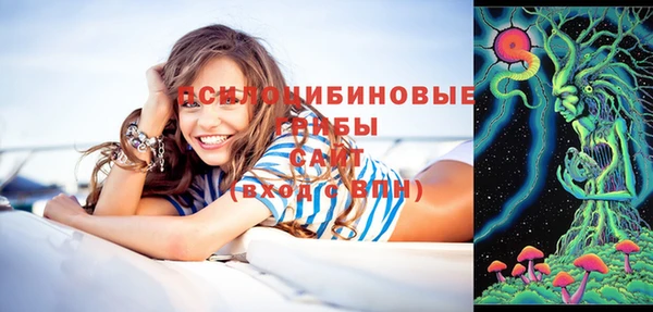 эйфоретик Вязьма