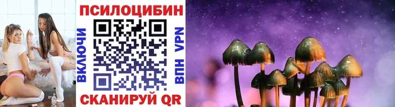 Купить  Верхний Уфалей  Псилоцибиновые грибы MAGIC MUSHROOMS 